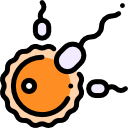 fertility-counselling-evaluation treatmentby Dr.Anusha in puppalguda