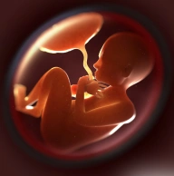 dr.anusha-best-gynecology-hyderabad